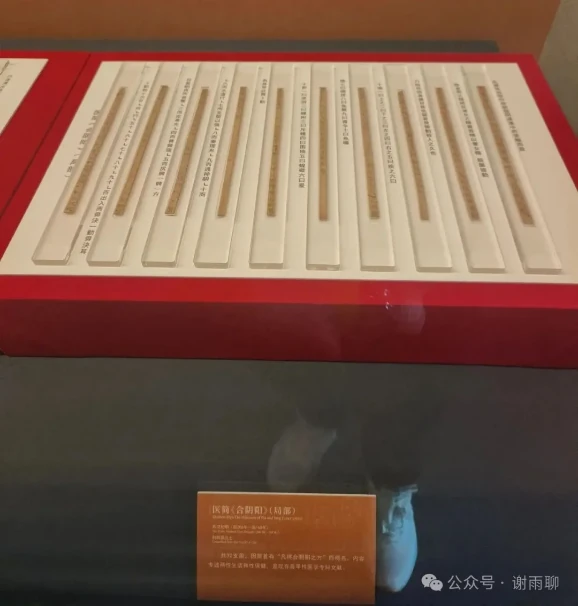 Medical wooden slips arranged in a red-framed display case with an explanatory label