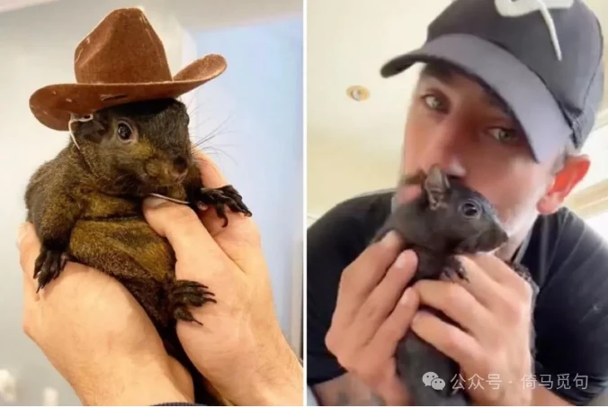 A collage of photographs of P'Nut and Mark together