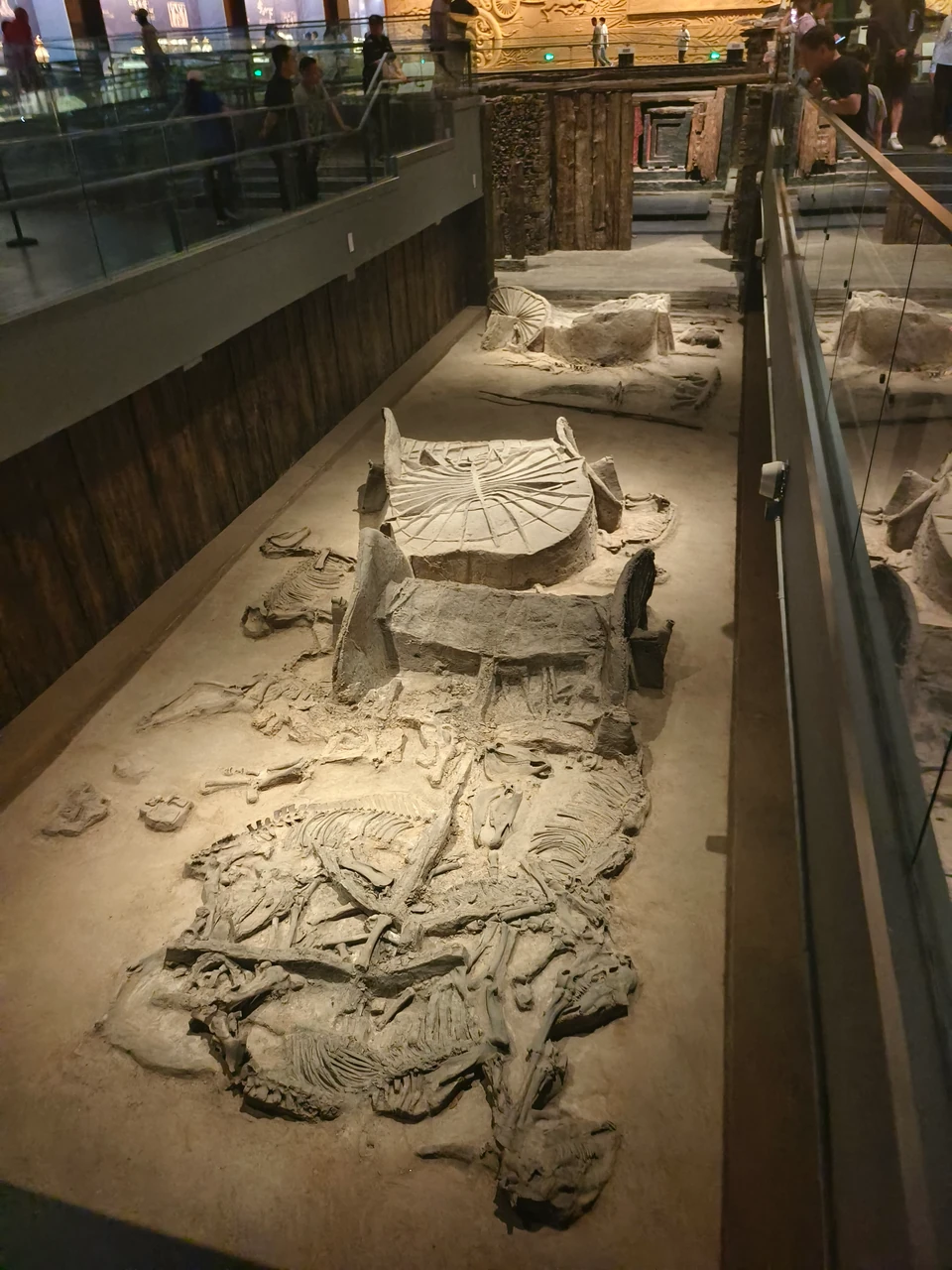 Wheels and remains of chariots and horses in the chariot-and-horse chamber