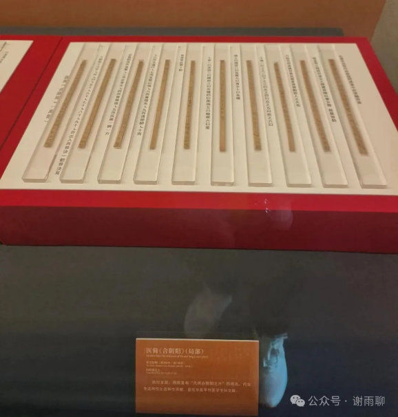 排列在红框展柜中的医简木片与说明牌