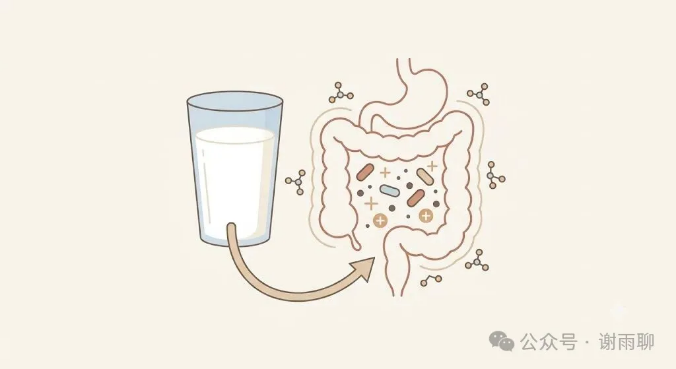 牛奶杯与肠道菌群的示意插画
