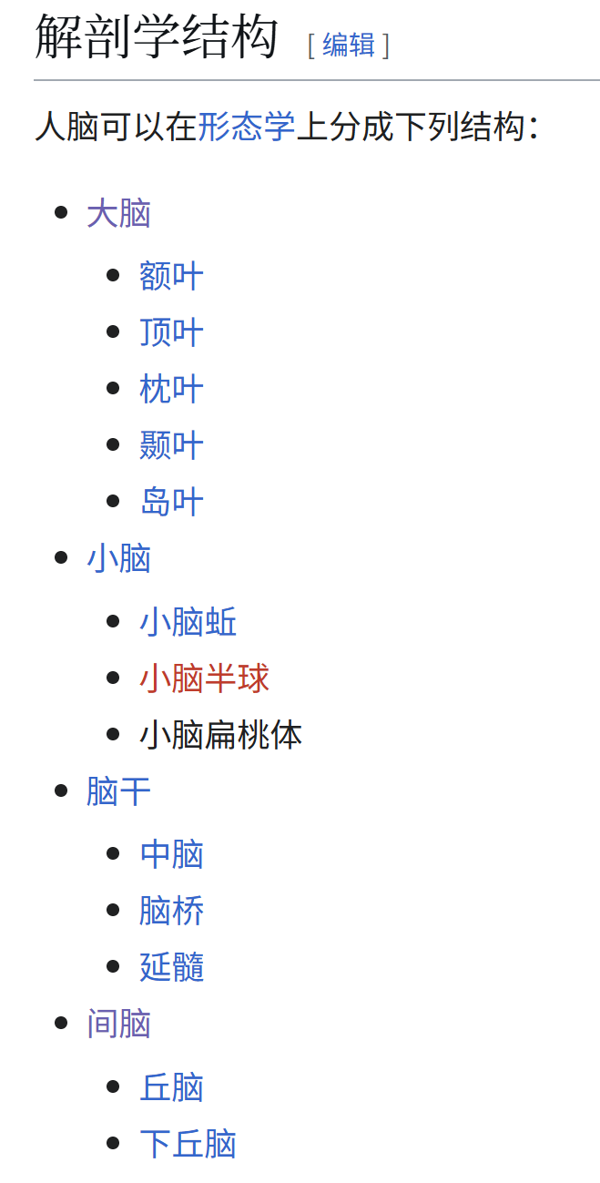脑的解剖学结构分层目录
