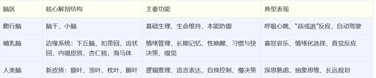 爬行脑哺乳脑与人类脑的功能对比表