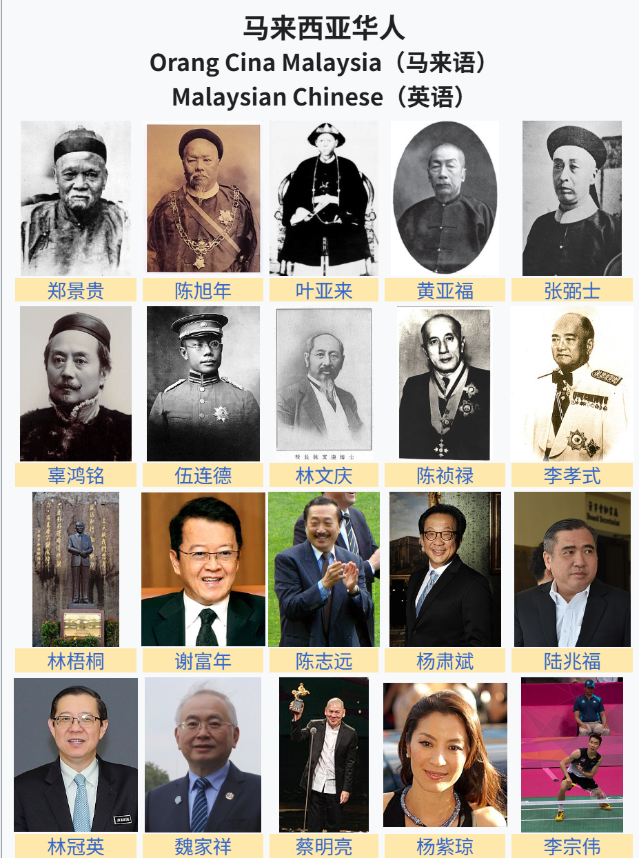 马来西亚华人代表人物照片与姓名拼图
